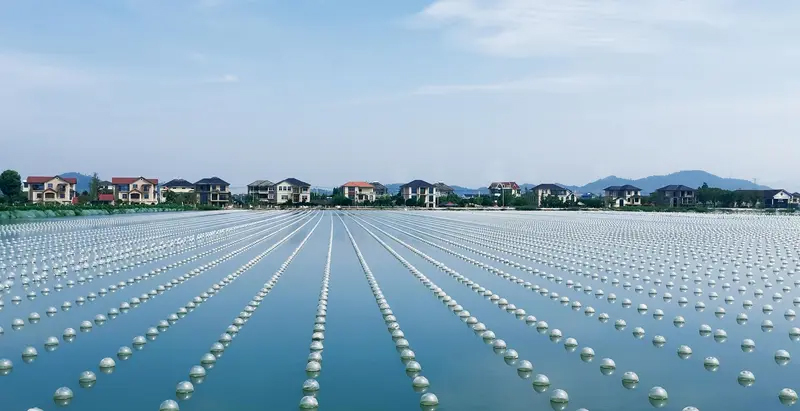 zhuji_campus